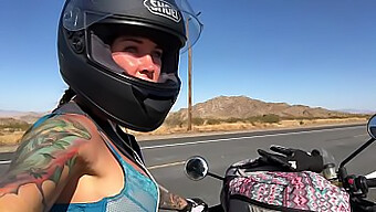 L'aventure de Felicity Feline sur une moto de motard